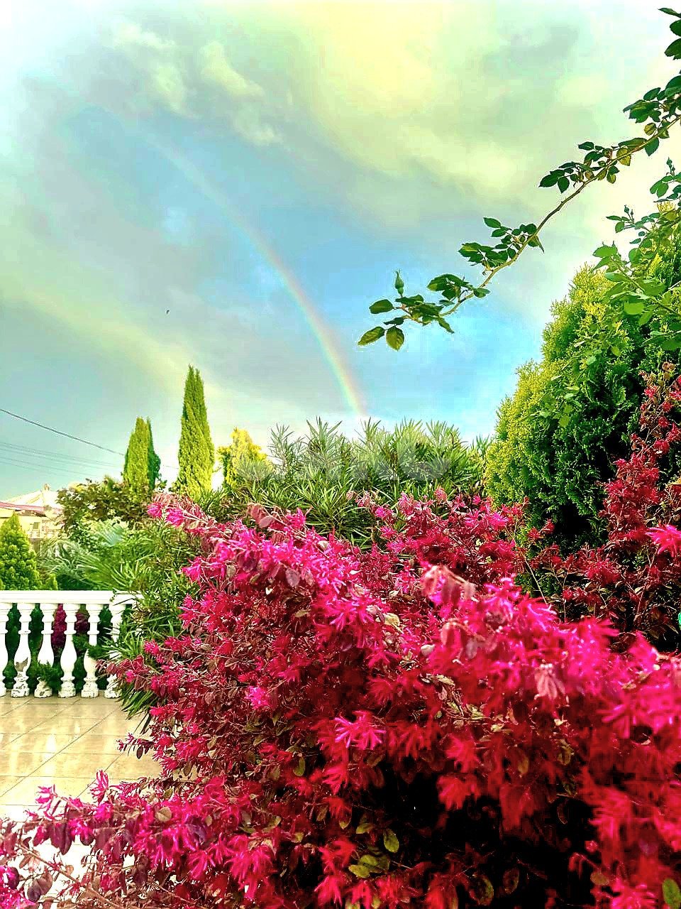 Фото №23: Дом 210 м² + 10 сот. - Черешня, р. Адлерский, ул. Владимировская, 66