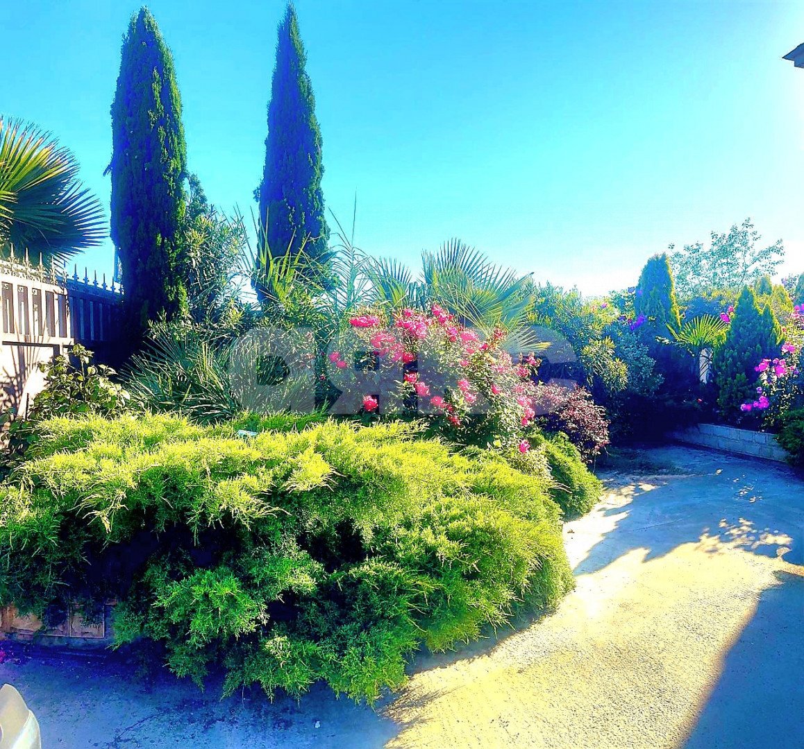 Фото №28: Дом 210 м² + 10 сот. - Черешня, р. Адлерский, ул. Владимировская, 66