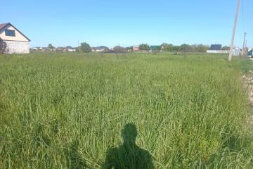 Фото №3: Земельный участок 8.38 сот. - садовое некоммерческое товарищество Авиатор, мкр. Прикубанский внутригородской округ, ул. Липовая, 214