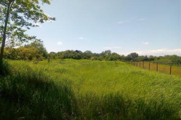 Фото №3: Земельный участок 40 сот. - Бончковский, ул. Центральная, 2