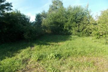 Фото №1: Земельный участок 40 сот. - Бончковский, ул. Центральная, 2