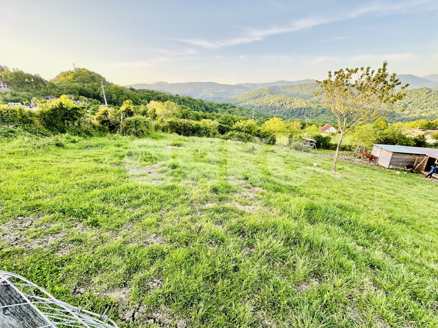 Фото №1: Земельный участок под ИЖС 4 сот. - Красная Воля, р. Адлерский, ул. Володи Ульянова