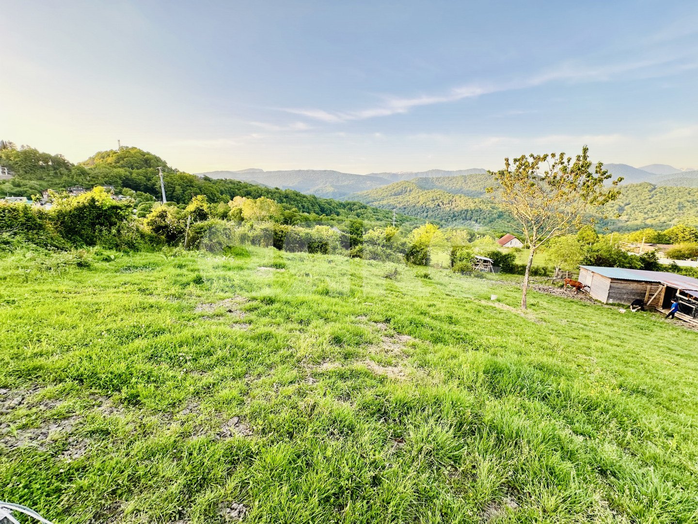 Фото №2: Земельный участок под ИЖС 4 сот. - Красная Воля, р. Адлерский, ул. Володи Ульянова