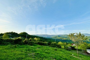 Фото №4: Земельный участок под ИЖС - Красная Воля, р. Адлерский, ул. Володи Ульянова