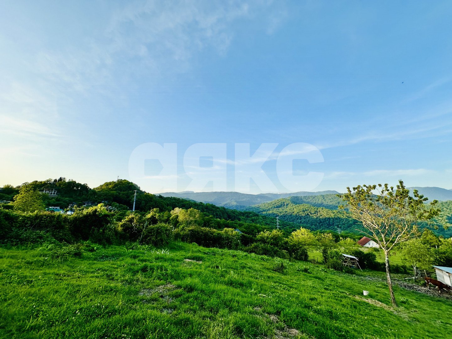 Фото №4: Земельный участок под ИЖС 4 сот. - Красная Воля, р. Адлерский, ул. Володи Ульянова