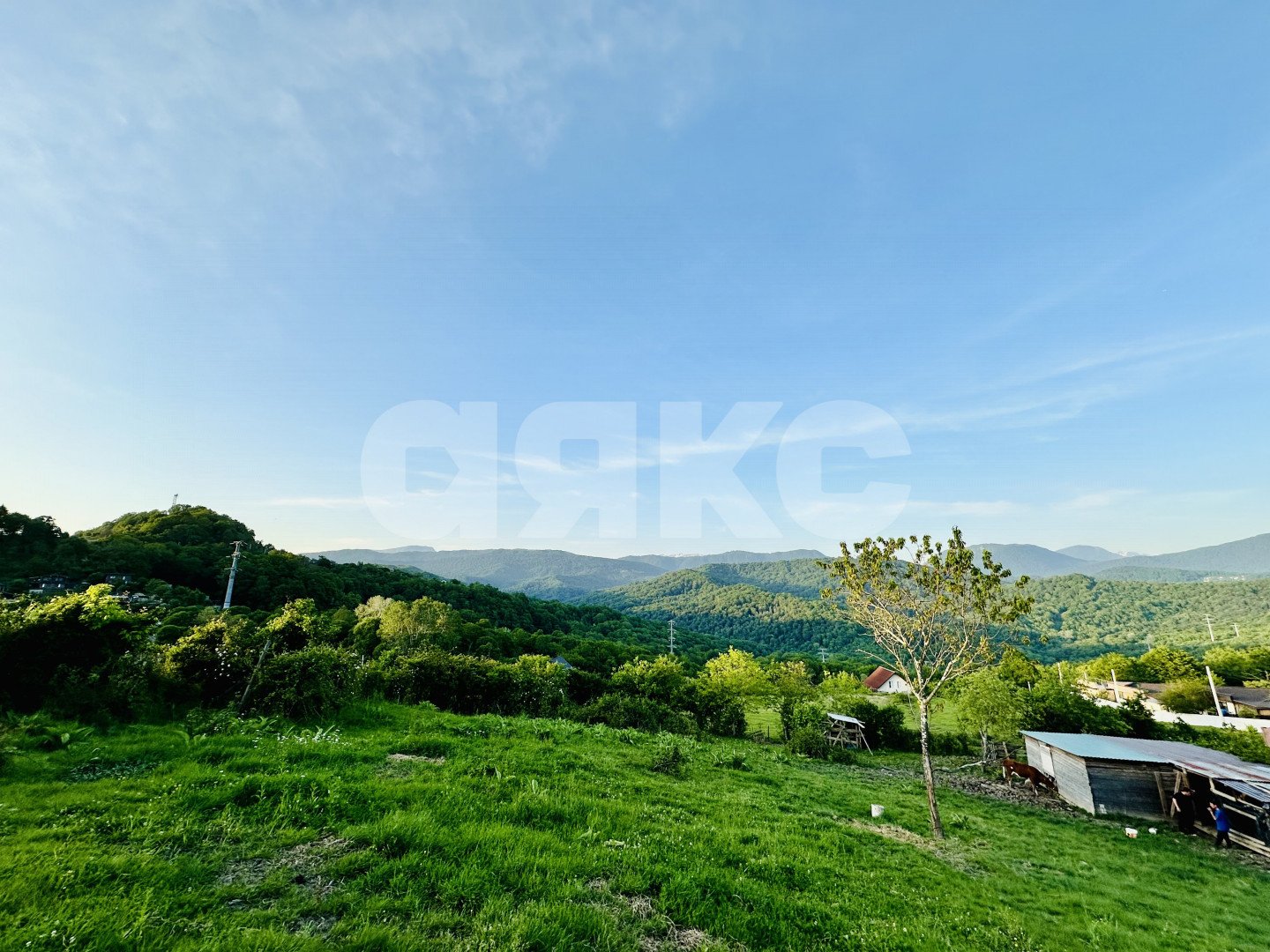 Фото №3: Земельный участок под ИЖС 4 сот. - Красная Воля, р. Адлерский, ул. Володи Ульянова