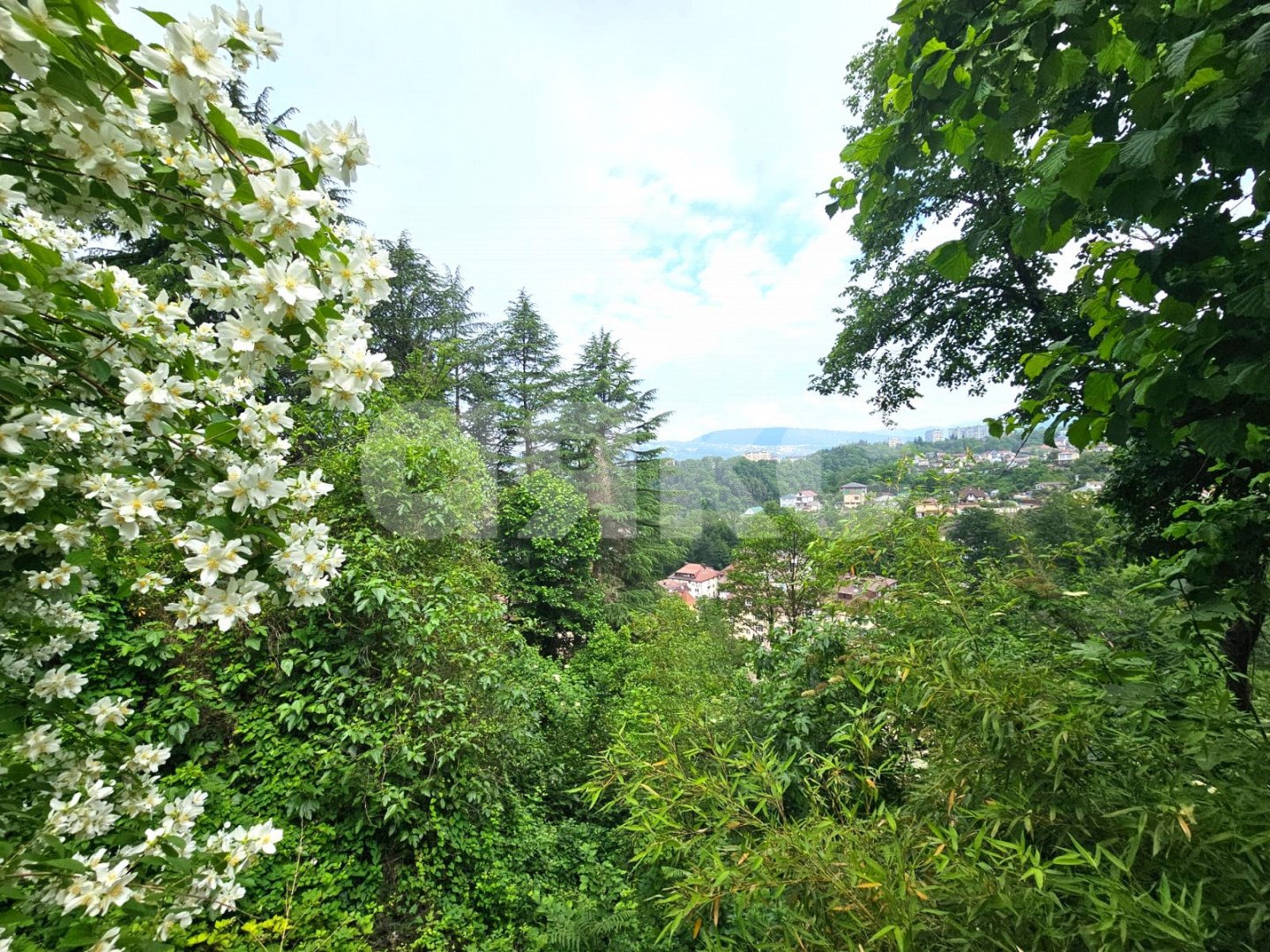 Фото №35: 1-комнатная квартира 32 м² - Сочи, Центральный, мкр. Заречный, ул. Транспортная, 17/2