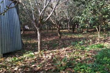 Фото №4: Коммерция 11 м² - Нижняя Шиловка, мкр. квартал Социализм, ул. Сормовская, 11