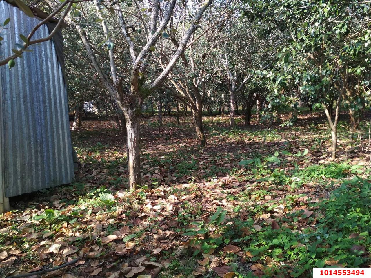 Фото №4: Коммерция 11 м² - Нижняя Шиловка, Адлерский, мкр. квартал Социализм, ул. Сормовская, 11