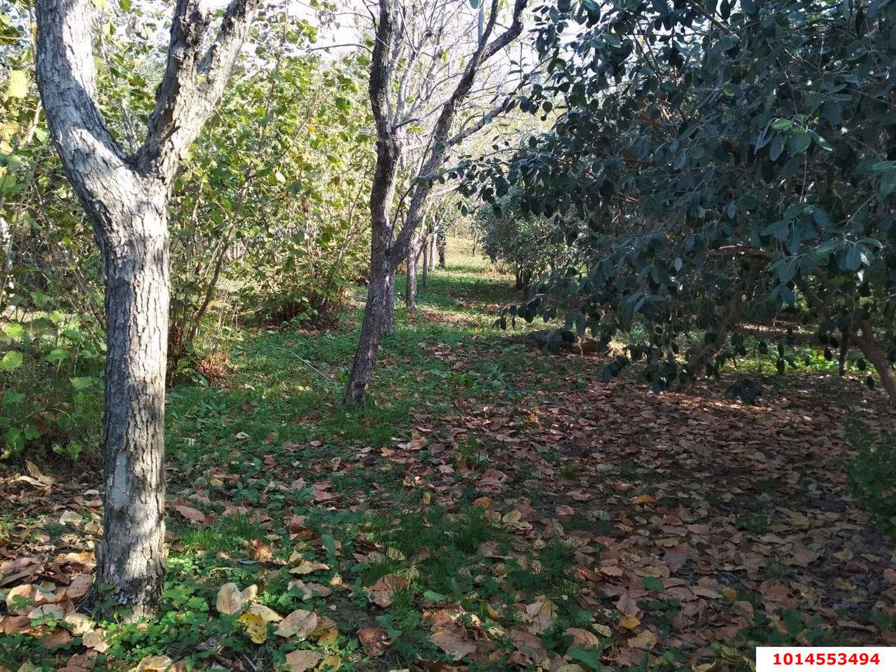 Фото №1: Коммерция 11 м² - Нижняя Шиловка, Адлерский, мкр. квартал Социализм, ул. Сормовская, 11