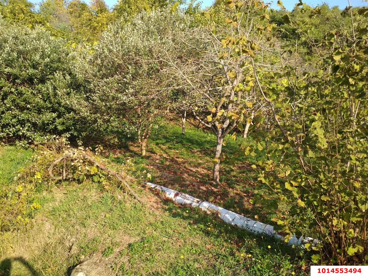 Фото №5: Коммерция 11 м² - Нижняя Шиловка, Адлерский, мкр. квартал Социализм, ул. Сормовская, 11