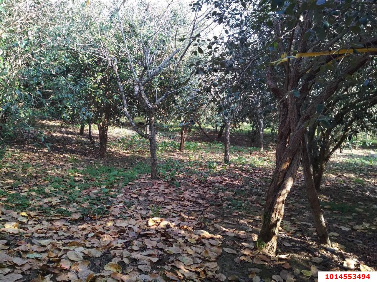 Фото №6: Коммерция 11 м² - Нижняя Шиловка, Адлерский, мкр. квартал Социализм, ул. Сормовская, 11