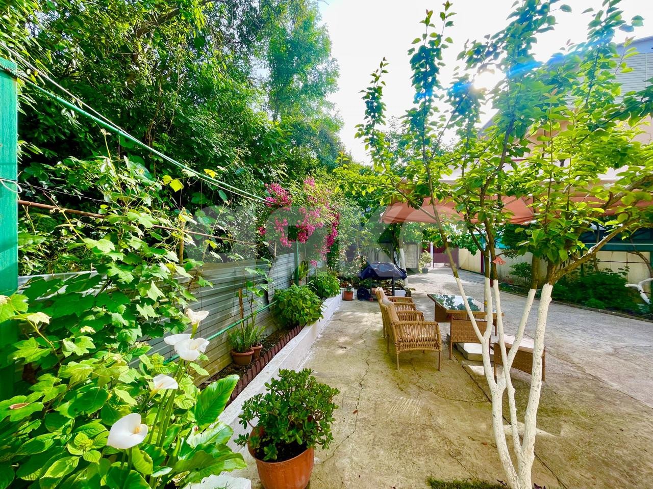 Фото №33: Дом 206 м² + 2.78 сот. - Сочи, Адлерский, Адлер, мкр. Чкаловский, ул. Просвещения, 115