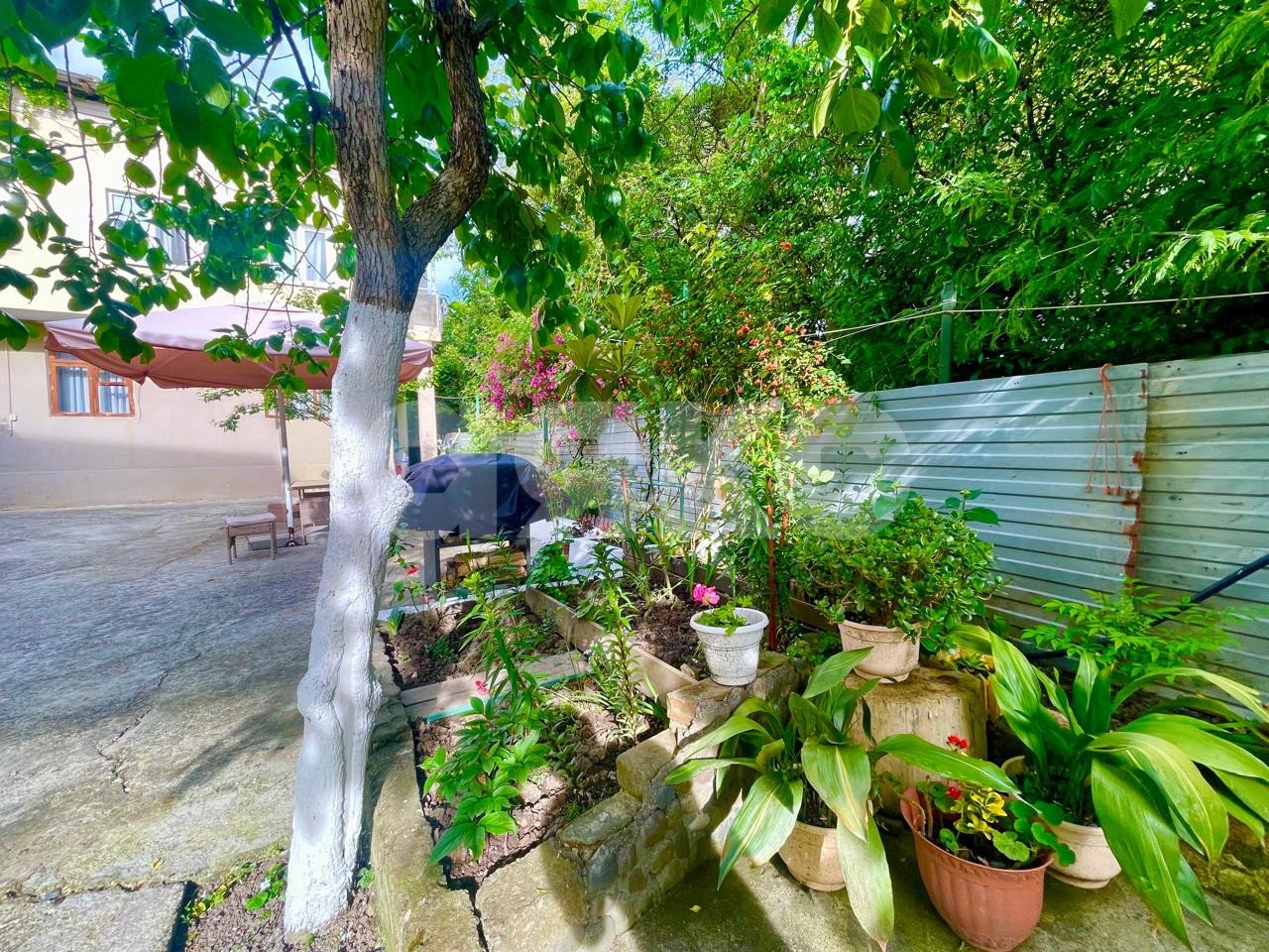 Фото №35: Дом 206 м² + 2.78 сот. - Сочи, Адлерский, Адлер, мкр. Чкаловский, ул. Просвещения, 115