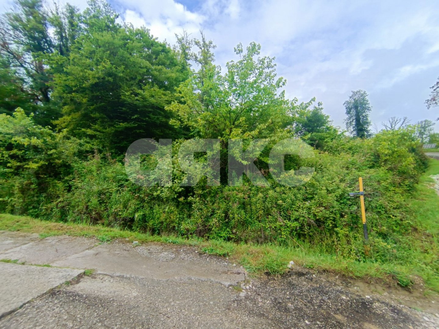 Фото №4: Участок садоводство 4.8 сот. - Высокое, р. Адлерский