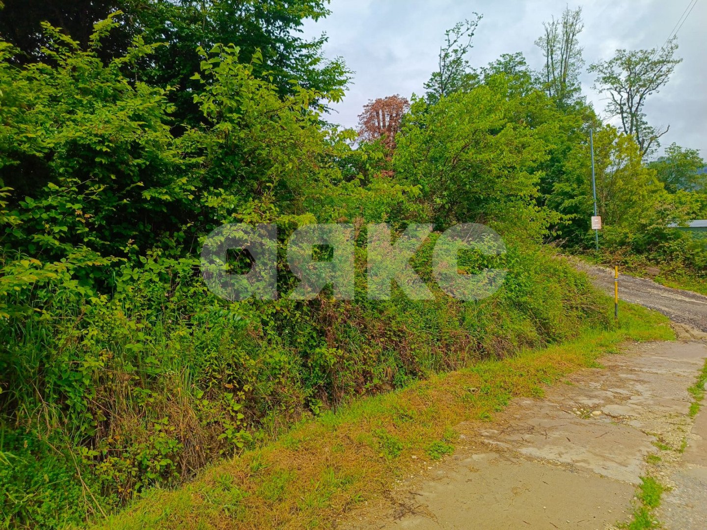 Фото №7: Участок садоводство 4.8 сот. - Высокое, р. Адлерский