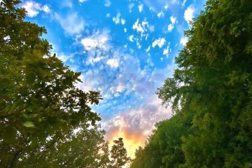 Фото №2: Земельный участок 6 сот. - Дорожник, мкр. Прикубанский внутригородской округ, ул. Сливовая, 50