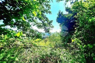 Фото №4: Земельный участок под ИЖС - Нижняя Шиловка, р. Адлерский, ул. Светогорская, 104