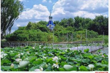 Фото №3: Земельный участок 7.7 сот. - Белозёрный, мкр. Прикубанский внутригородской округ, ул. Прекрасная, 1