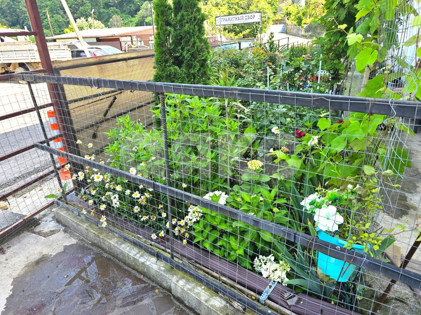 Фото №16: 2-комнатная квартира 37 м² - Барановка (Хостинский район), Хостинский, счт Зефанос-6, ул. Армянская, 99А