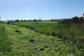 Фото №1: Земельный участок 8.35 сот. - садовое некоммерческое товарищество Авиатор, мкр. Прикубанский внутригородской округ, ул. Липовая, 215