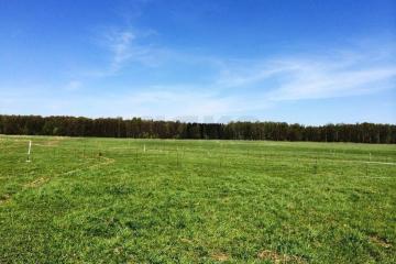 Фото №1: Земельный участок 11.9 сот. - Октябрьский, мкр. Прикубанский внутригородской округ, ул. Насосная, 3