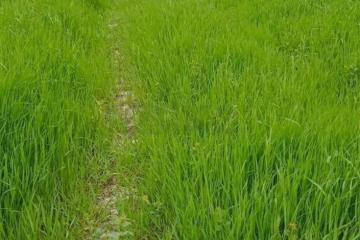 Фото №3: Коммерция 14 м² - Гостагаевская, ул. Советская, 1