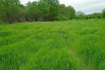 Фото №2: Коммерция 14 м² - Гостагаевская, ул. Советская, 1