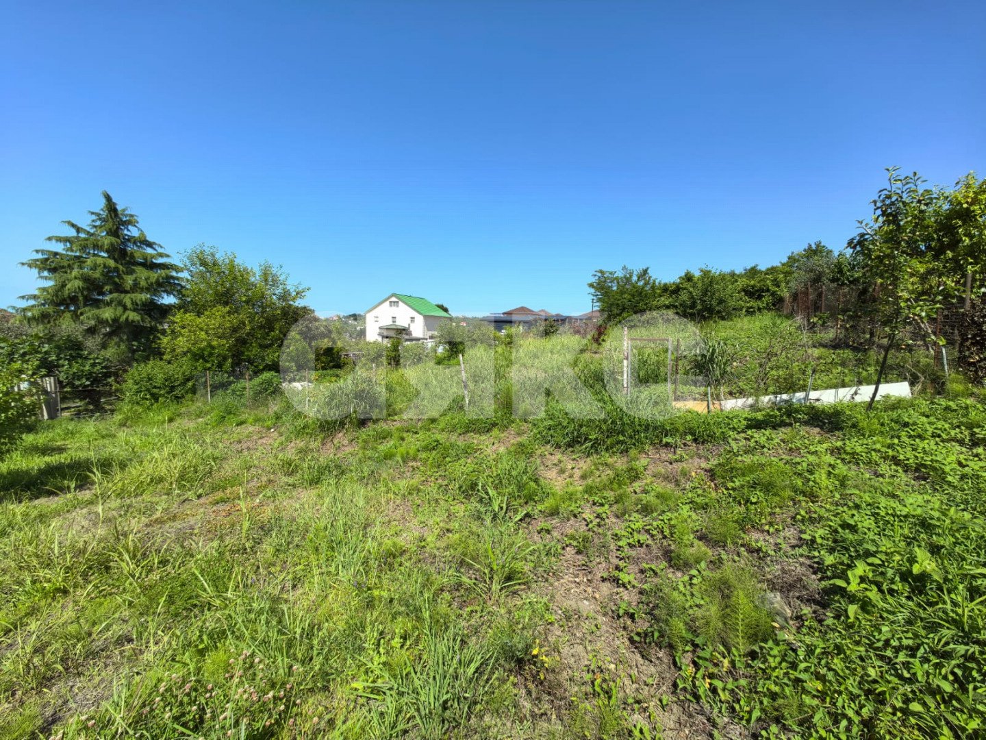 Фото №9: Личное подсобное хозяйство 8.2 сот. - Сочи, Лазаревский, п. Вардане, пер. Минеральный, 9