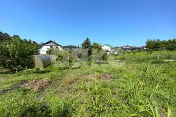 Фото №3: Личное подсобное хозяйство - Сочи, п. Вардане, пер. Минеральный, 9