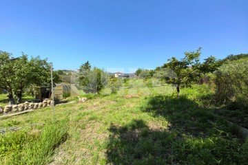 Фото №2: Личное подсобное хозяйство - Сочи, п. Вардане, пер. Минеральный, 9