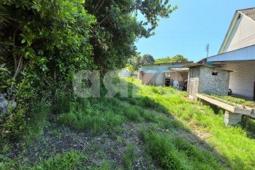 Фото №4: Личное подсобное хозяйство - Сочи, п. Вардане, пер. Минеральный, 9