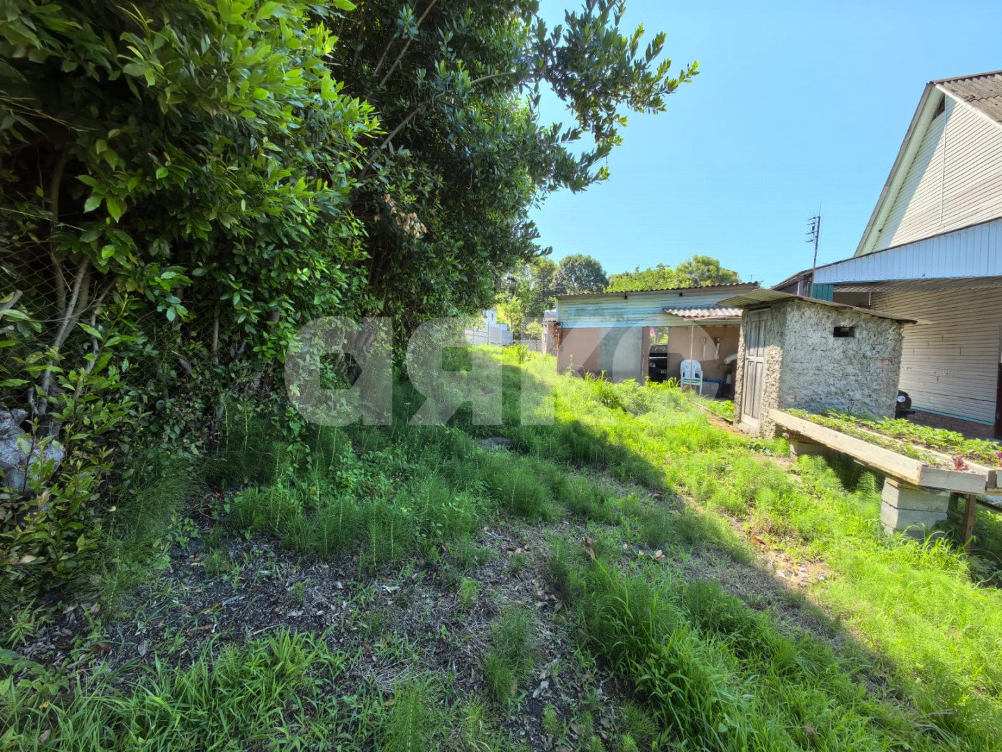 Фото №4: Личное подсобное хозяйство 8.2 сот. - Сочи, Лазаревский, п. Вардане, пер. Минеральный, 9