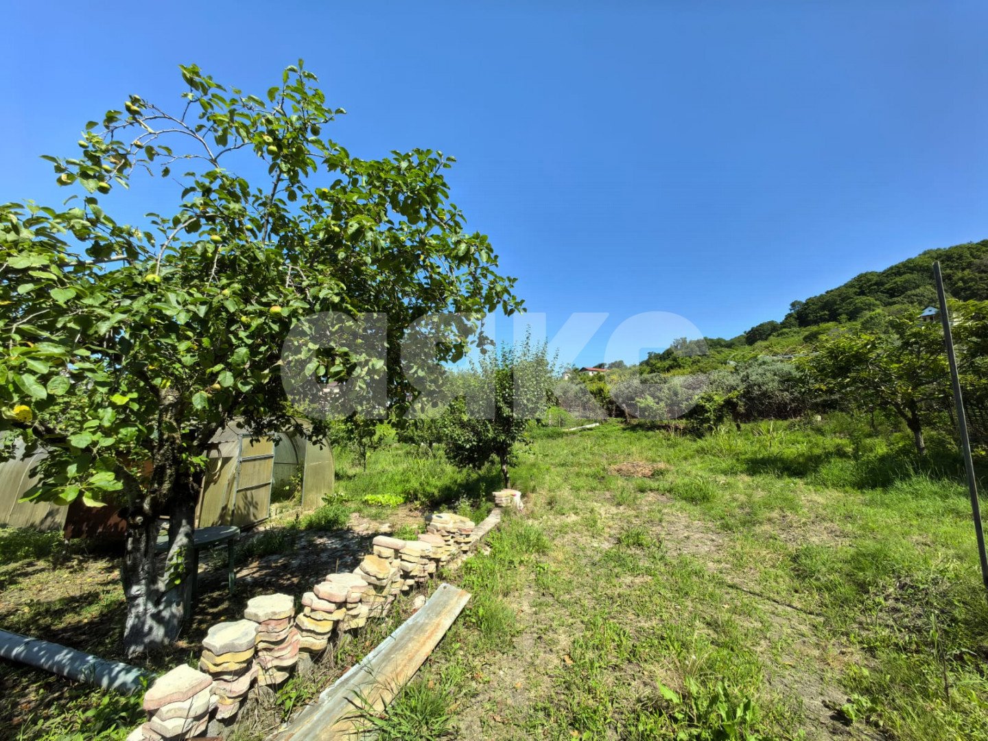 Фото №8: Личное подсобное хозяйство 8.2 сот. - Сочи, Лазаревский, п. Вардане, пер. Минеральный, 9