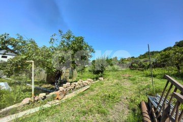 Фото №1: Личное подсобное хозяйство - Сочи, п. Вардане, пер. Минеральный, 9