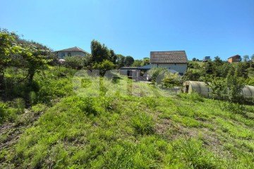 Фото №5: Личное подсобное хозяйство - Сочи, п. Вардане, пер. Минеральный, 9