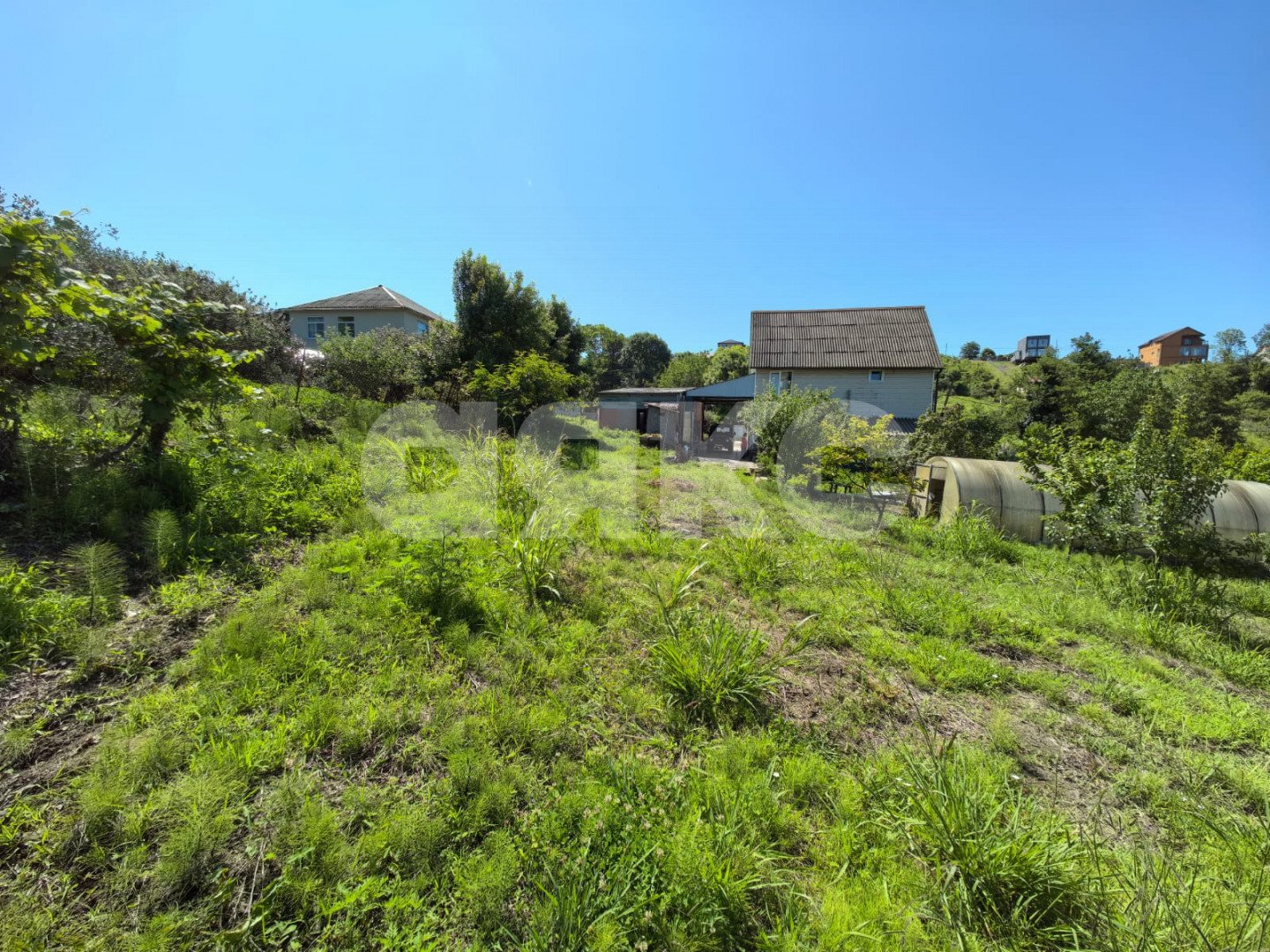 Фото №5: Личное подсобное хозяйство 8.2 сот. - Сочи, Лазаревский, п. Вардане, пер. Минеральный, 9