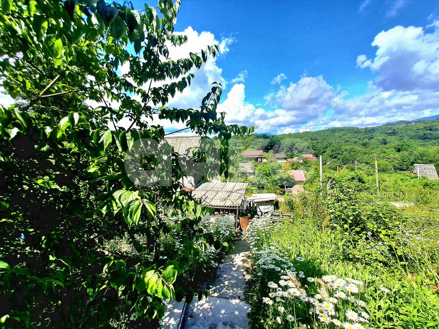 Фото №1: Участок садоводство 6 сот. - Галицыно, Адлерский, мкр. СТ Пчеловод, 24