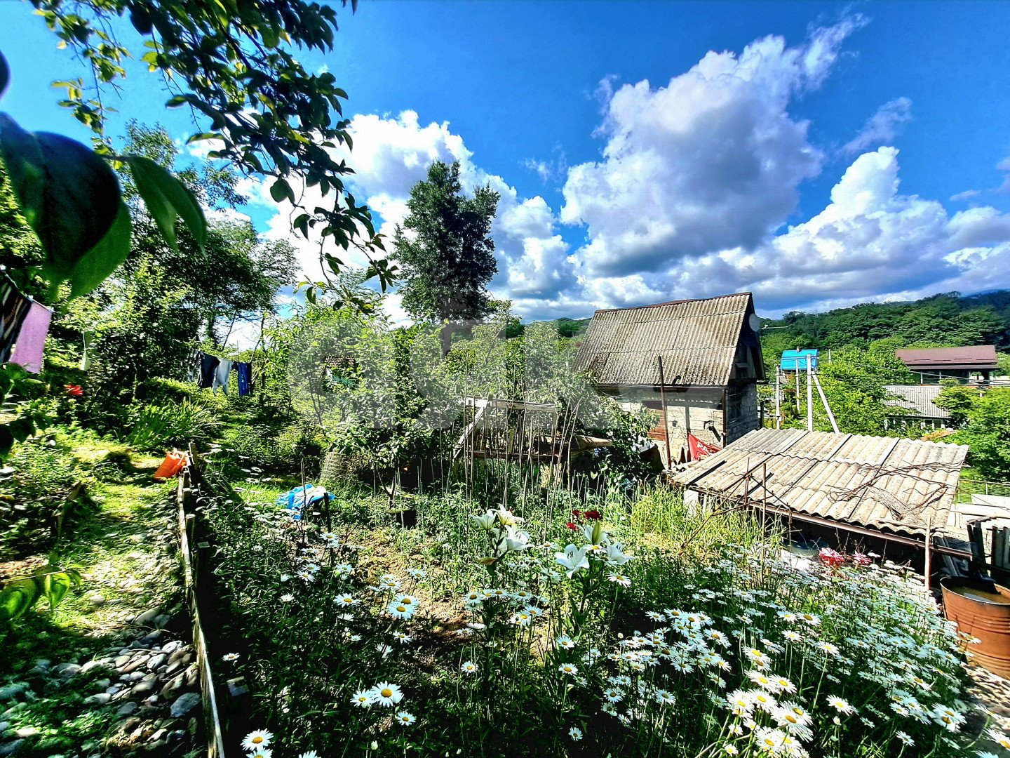 Фото №5: Участок садоводство 6 сот. - Галицыно, Адлерский, мкр. СТ Пчеловод, 24