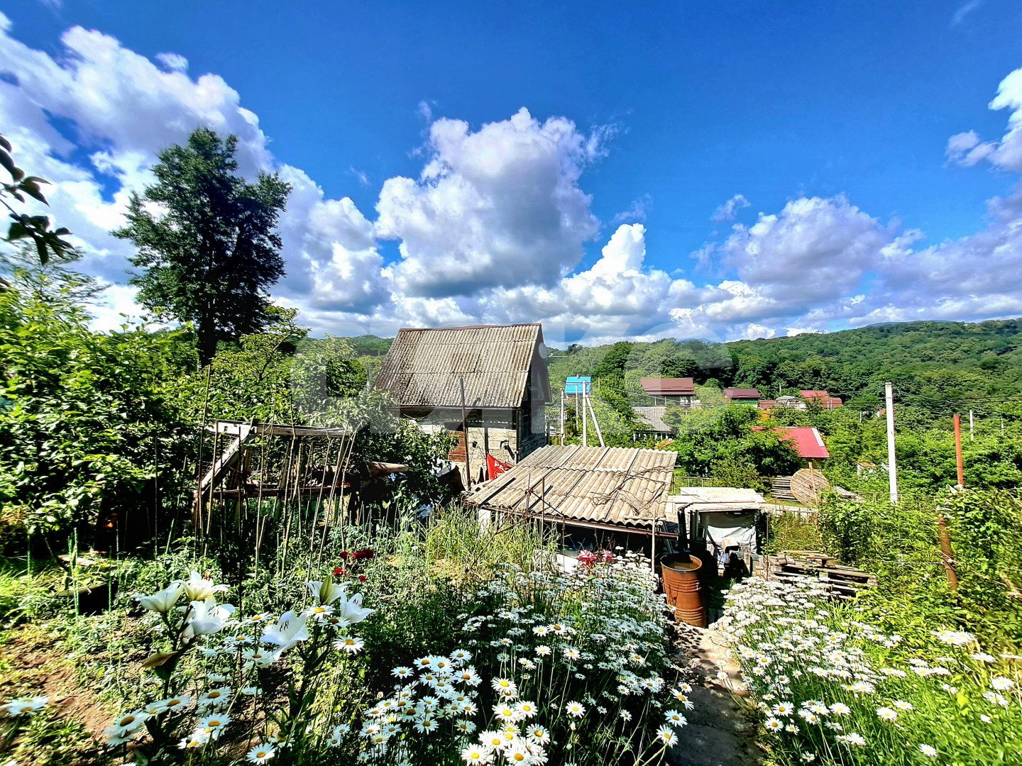 Фото №4: Участок садоводство 6 сот. - Галицыно, Адлерский, мкр. СТ Пчеловод, 24