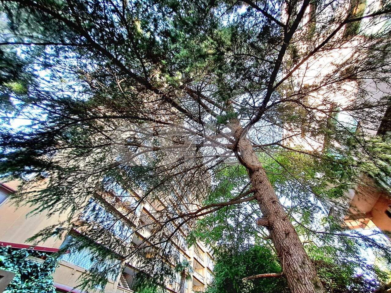 Фото №23: 3-комнатная квартира 100 м² - Сочи, р. Центральный, ул. Островского, 47