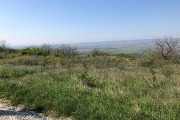 Фото №3: Земельный участок 6 сот. - Верхнебаканский, ул. Ленина