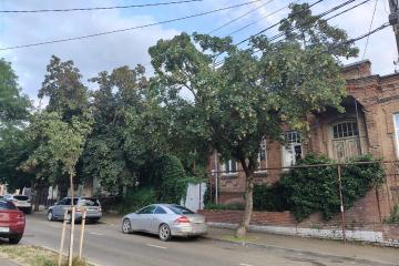 Фото №4: Коммерция 61 м² - Краснодар, мкр. Центральный, ул. Гимназическая, 3