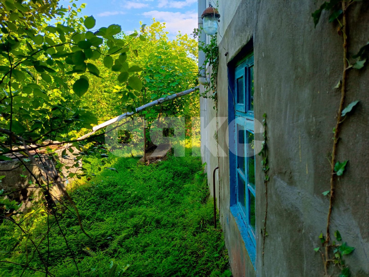 Фото №6: Дом 110 м² + 8.47 сот. - Прогресс, р. Хостинский, ул. Урожайная