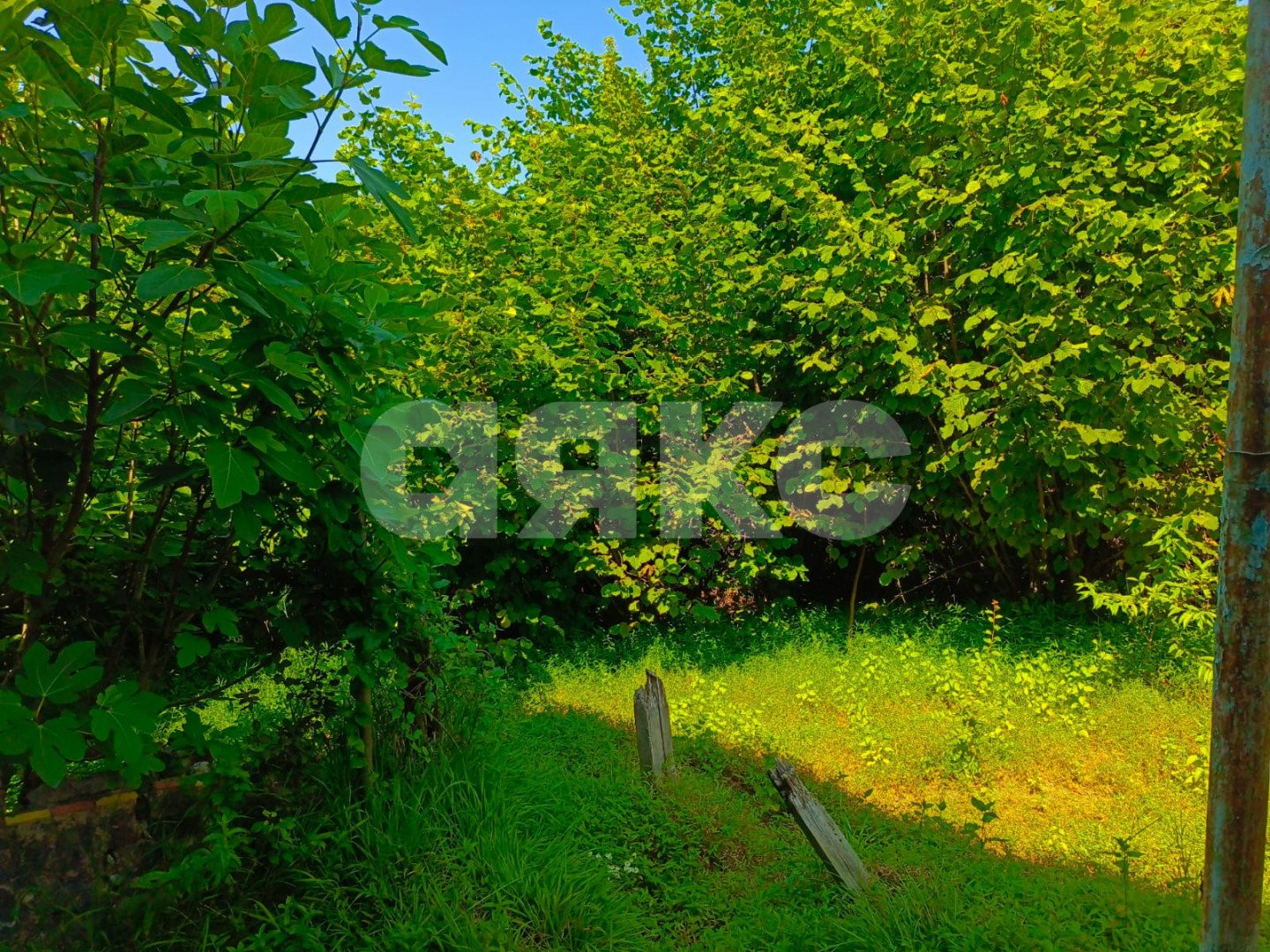 Фото №8: Дом 110 м² + 8.47 сот. - Прогресс, р. Хостинский, ул. Урожайная