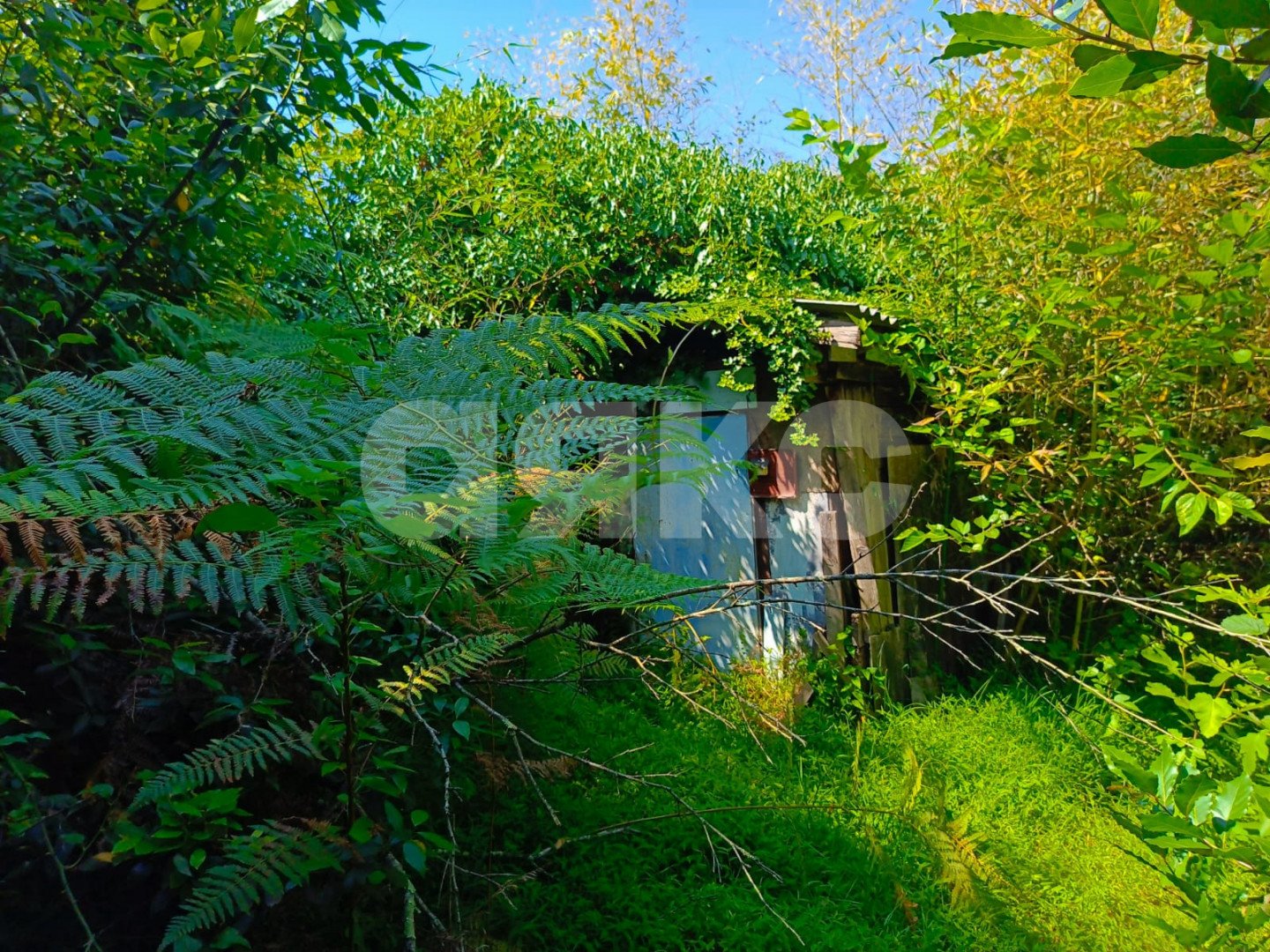 Фото №7: Дом 110 м² + 8.47 сот. - Прогресс, р. Хостинский, ул. Урожайная