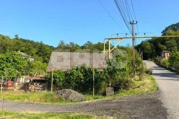 Фото №3: Личное подсобное хозяйство - Верхнеякорная Щель, р. Лазаревский, ул. Арташатская, 2