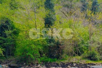 Фото №2: Коммерческая земля - Краснодарский край городской округ Сочи