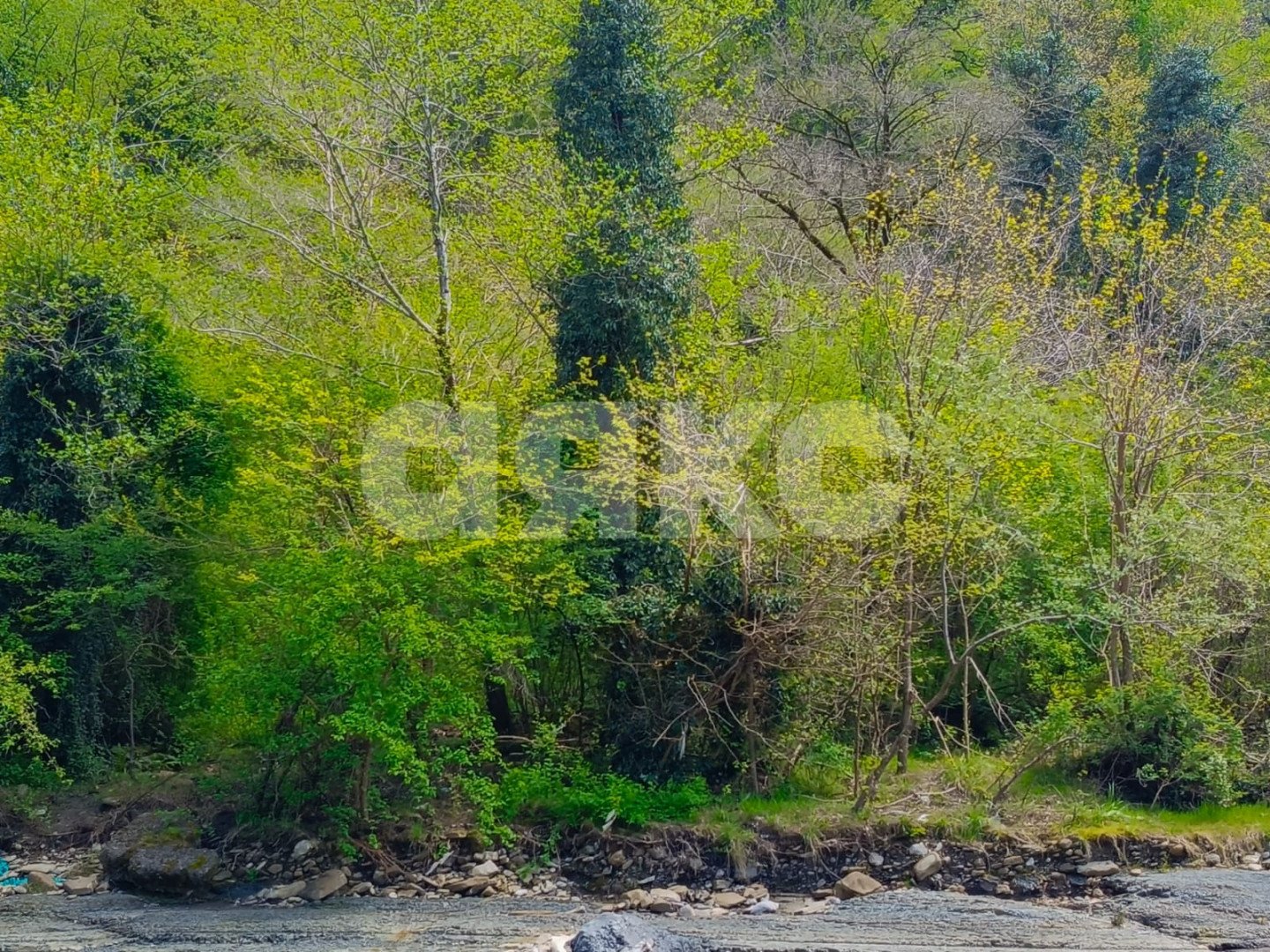 Фото №2: Коммерческая земля 1.5 сот. - Краснодарский край городской округ Сочи