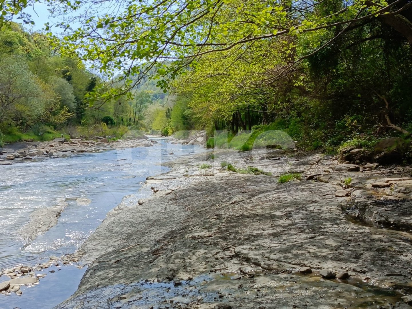 Фото №8: Коммерческая земля 1.5 сот. - Краснодарский край городской округ Сочи
